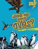 ¿Sabes algo sobre aves? (Do You Know about Birds?)