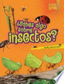 ¿Sabes algo sobre insectos? (Do You Know about Insects?)