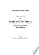 Temas selectos del derecho electoral