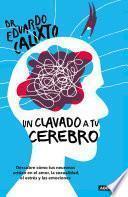 Un clavado a tu cerebro