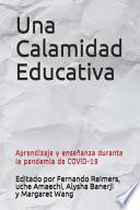 Una Calamidad Educativa