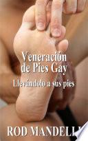 Veneración De Pies Gay #1: Llevándolo A Sus Pies