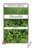 Vida perdida